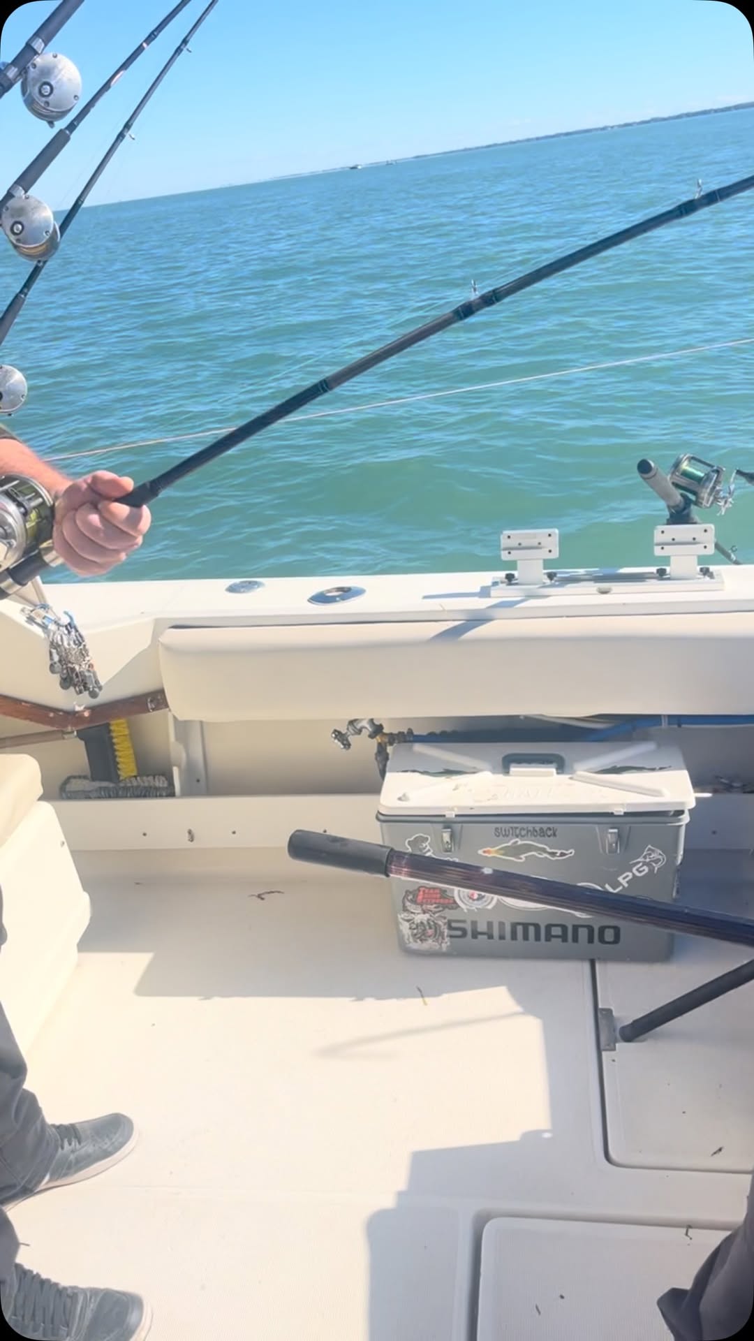 Mr. Muskie Charters